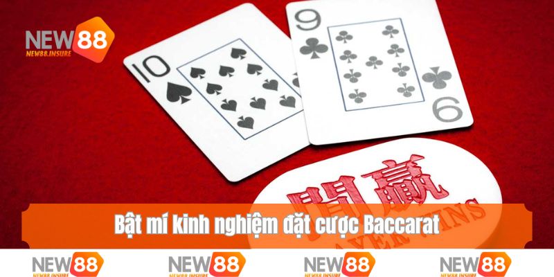 Bật mí kinh nghiệm đặt cược Baccarat dễ ăn tiền