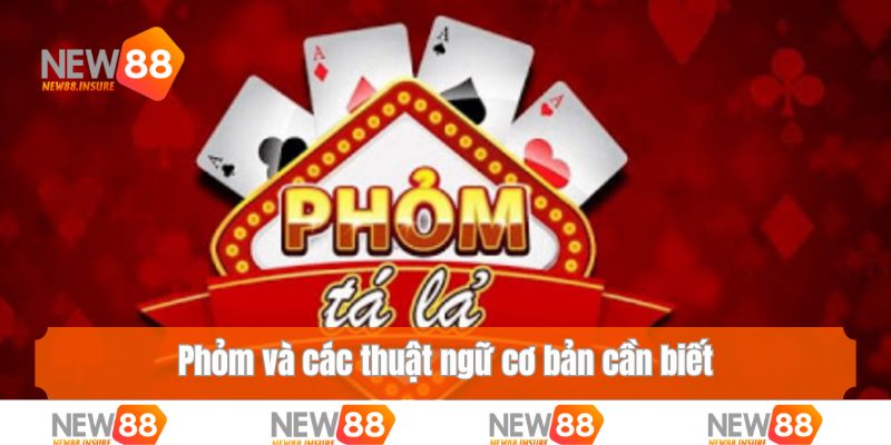Phỏm và các thuật ngữ cơ bản cần biết