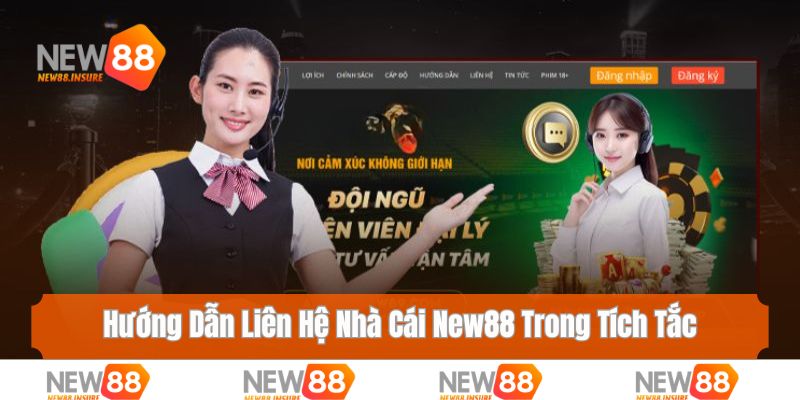 liên hệ