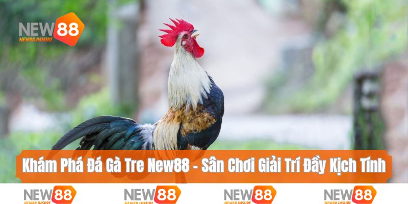 Đá gà tre