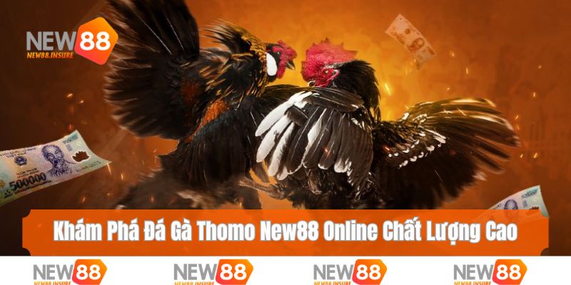 đá gà Thomo
