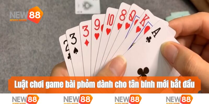 Luật chơi game bài phỏm dành cho tân binh mới bắt đầu