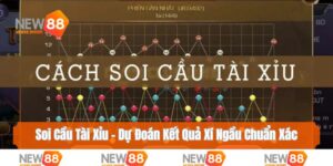 Soi cầu tài xỉu