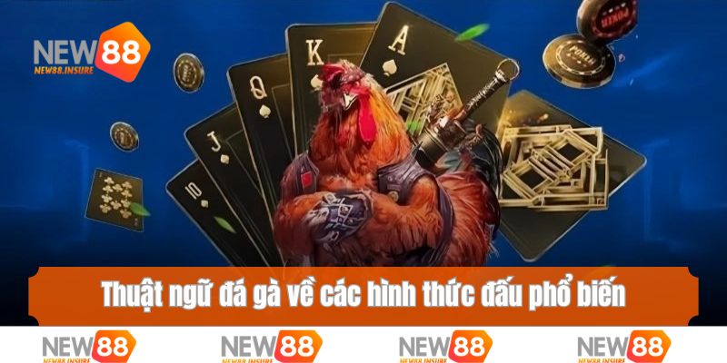 Thuật ngữ đá gà về các hình thức đấu phổ biến