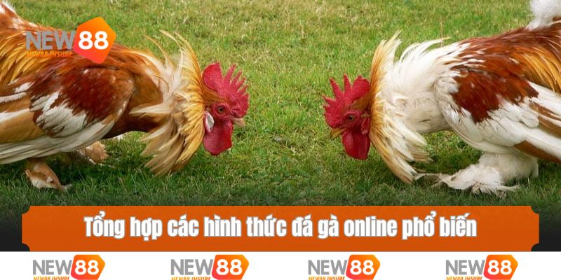 Tổng hợp các hình thức đá gà online phổ biến trên thế giới