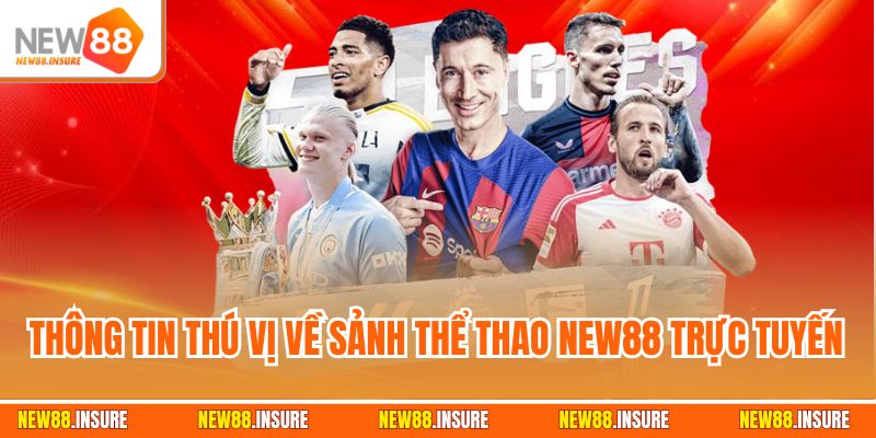 Thông tin thú vị về sảnh thể thao New88 trực tuyến
